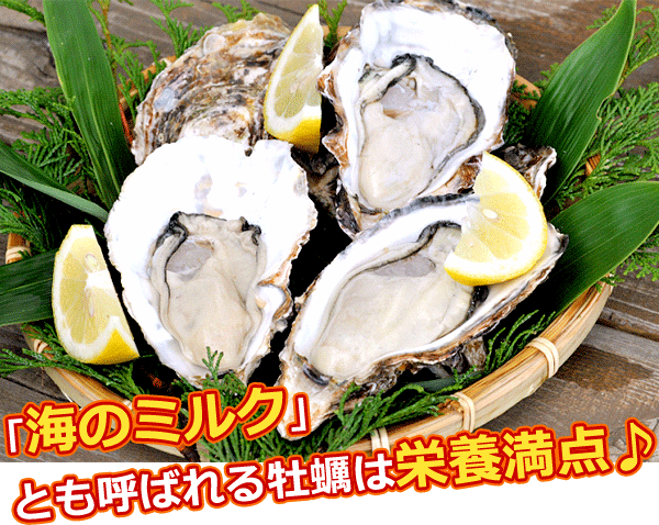 牡蠣は栄養満点♪