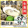広島県産　生食用牡蠣