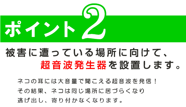 猫対策のポイント1
