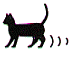 庭などに糞や尿をする猫