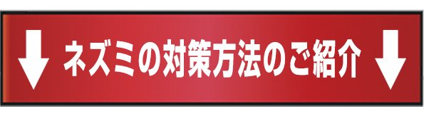 ネズミの対策方法のご紹介