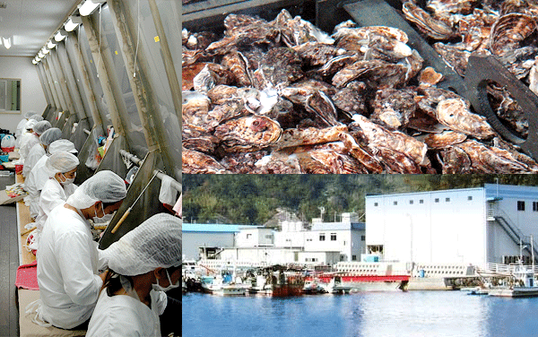 �����ł��̗l�q