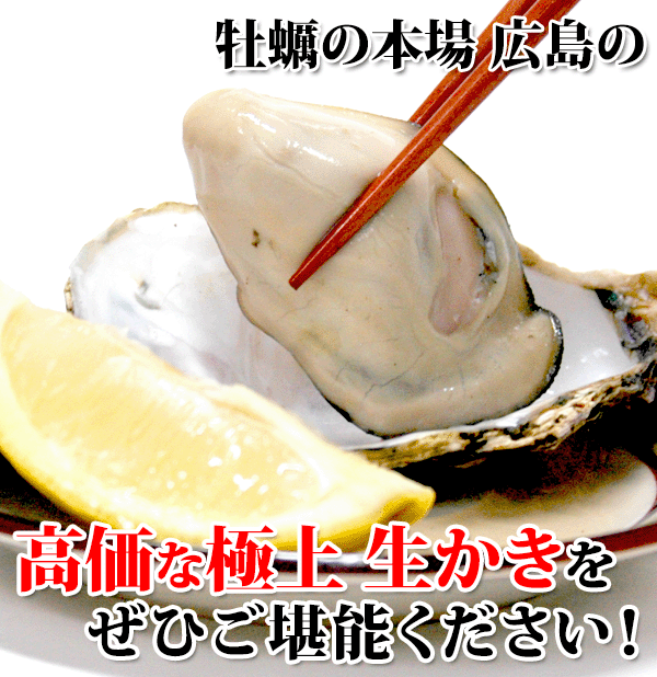 ���Ђ����\���������I