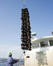 �L�������̓��m��