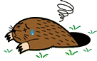 モグラ対策 豆知識