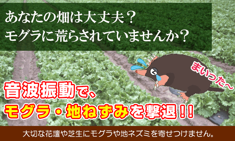 撃退 もぐら モグラの対策・退治方法をお教えします！