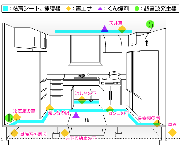 ネズミ対策のポイント3