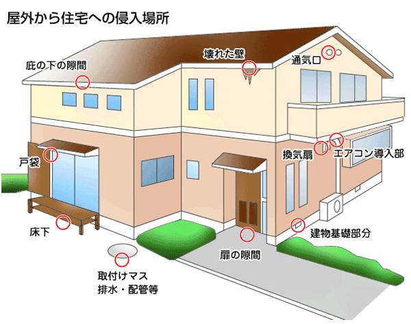 ネズミ対策のポイント4