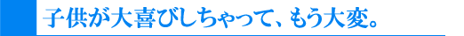 そうめん流し竹セット